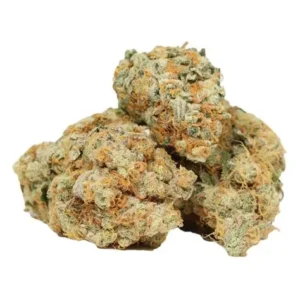 Black Cherry Soda weed strain