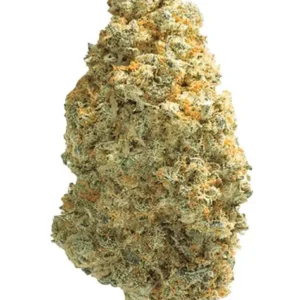 Chunk Dawg