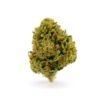 Buy Tangie weed strain online