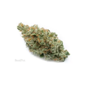 XJ-13 STRAIN (AAA) for sale