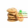500mg Chocolate Chip Cookie