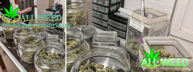 buy weed online delivery to south korea