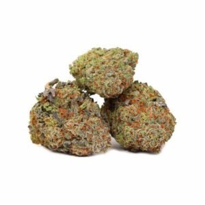 buy Blueberry Gum weed