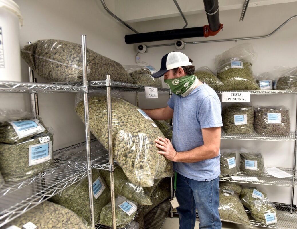 Best Cannabis Dispensary to Buy Weed Online
