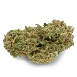 buy Nuken Strain online