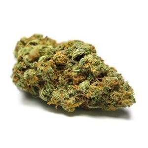 Sherbert strain for sale online